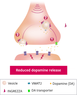 HD chorea Mechanism of Action