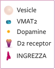 Key showing a vesicle, VMAT2, Dopamine, D2 receptor, Ingrezza