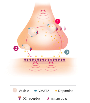 TD Mechanism of Action