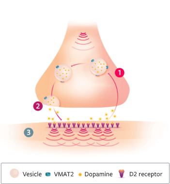 An Overview of Dopamine Receptor Pharmacology